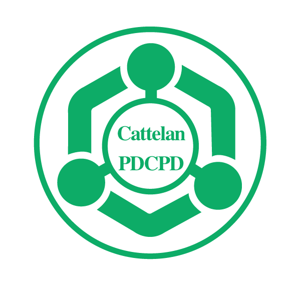Anhui Cattelan New Material Co.,Ltd